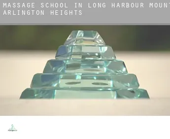 Massage school in  Long Harbour-Mount Arlington Heights