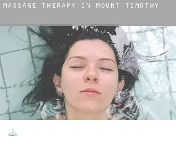 Massage therapy in  Mount Timothy