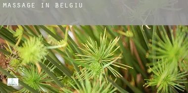 Massage in Belgium