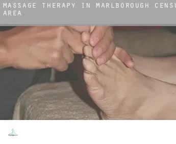 Massage therapy in  Marlborough (census area)