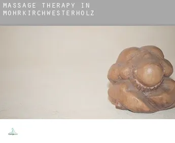 Massage therapy in  Mohrkirchwesterholz