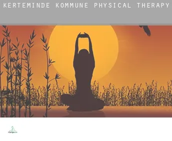 Kerteminde Kommune  physical therapy