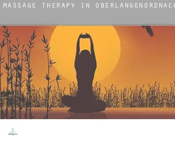 Massage therapy in  Oberlangenordnach