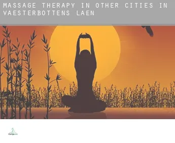 Massage therapy in  Other cities in Vaesterbottens Laen
