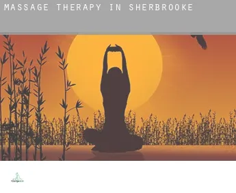 Massage therapy in  Sherbrooke