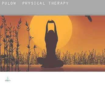 Pulow  physical therapy