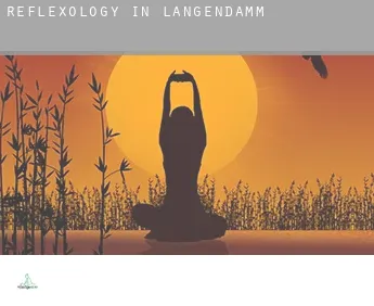 Reflexology in  Langendamm