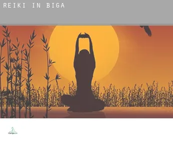 Reiki in  Biga