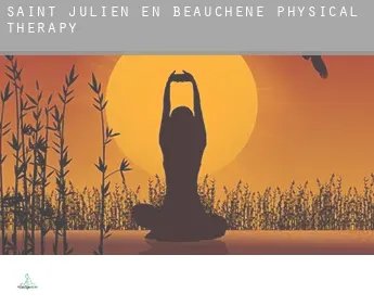 Saint-Julien-en-Beauchêne  physical therapy