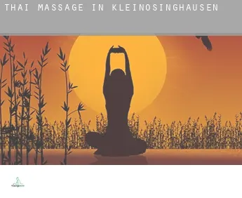 Thai massage in  Kleinösinghausen