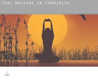 Thai massage in  Torriglia