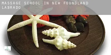 Massage school in Newfoundland and Labrador