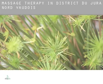 Massage therapy in  District du Jura-Nord vaudois