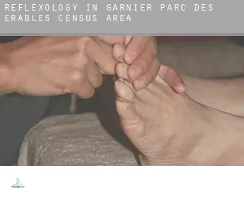 Reflexology in Garnier-Parc-des-Érables (census area)