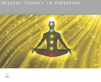 Massage therapy in  Porsgrunn