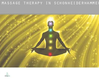 Massage therapy in  Schönheiderhammer