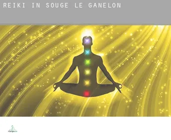 Reiki in  Sougé-le-Ganelon