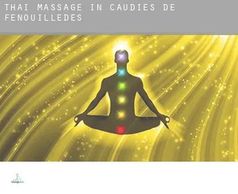 Thai massage in  Caudiès-de-Fenouillèdes