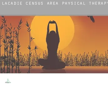 L'Acadie (census area)  physical therapy