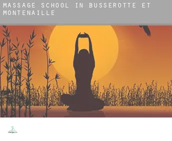 Massage school in  Busserotte-et-Montenaille