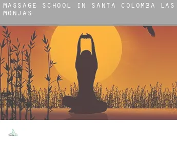 Massage school in  Santa Colomba de las Monjas