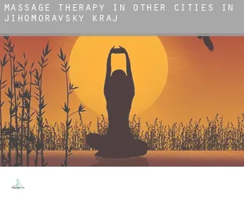 Massage therapy in  Other cities in Jihomoravsky kraj