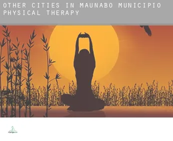 Other cities in Maunabo Municipio  physical therapy