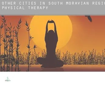 Other Cities in South Moravian Region  physical therapy