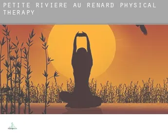 Petite-Rivière-au-Renard  physical therapy