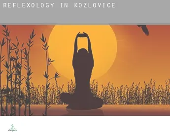 Reflexology in  Kozlovice