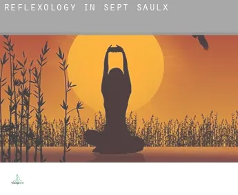 Reflexology in  Sept-Saulx