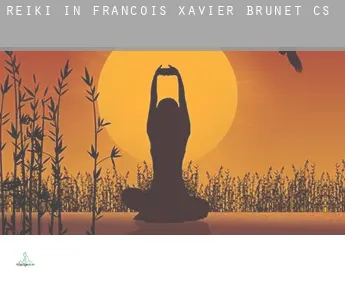 Reiki in François-Xavier-Brunet (census area)