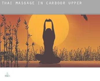 Thai massage in Carboor Upper