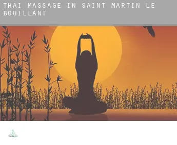 Thai massage in  Saint-Martin-le-Bouillant