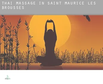 Thai massage in  Saint-Maurice-les-Brousses