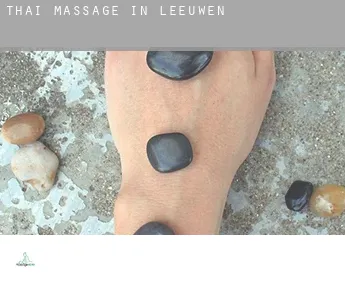 Thai massage in  Leeuwen