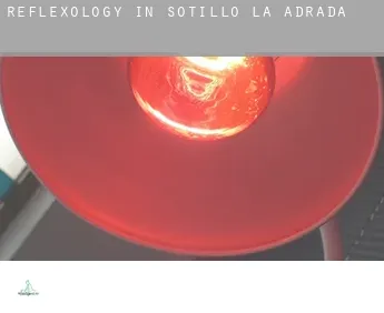 Reflexology in  Sotillo de la Adrada
