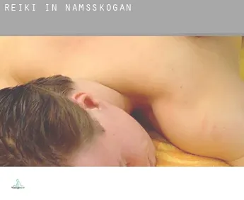 Reiki in  Namsskogan