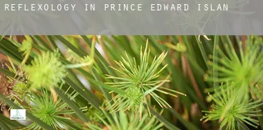 Reflexology in Prince Edward Island