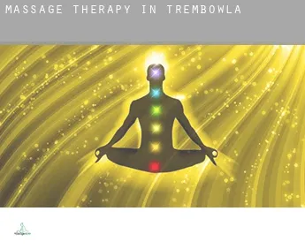 Massage therapy in  Trembowla