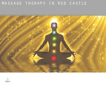 Massage therapy in  Red Castle