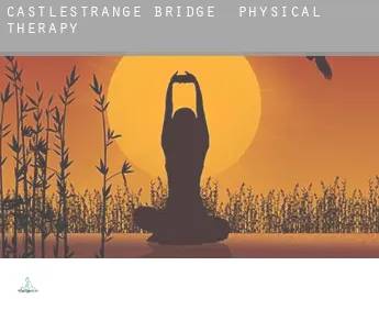 Castlestrange Bridge  physical therapy