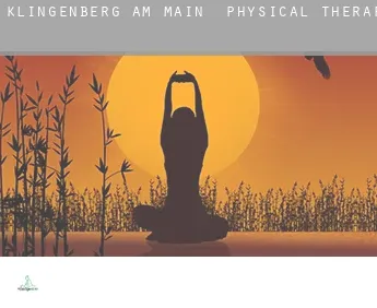 Klingenberg am Main  physical therapy