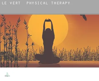 Le Vert  physical therapy
