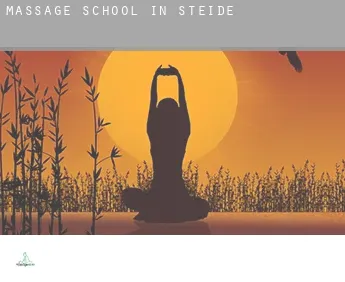 Massage school in  Steide
