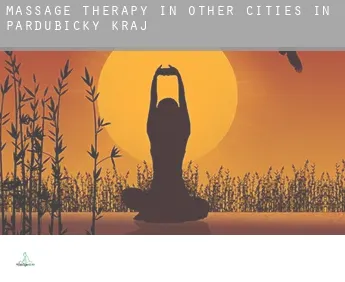 Massage therapy in  Other cities in Pardubicky kraj