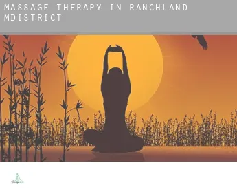 Massage therapy in  Ranchland M.District