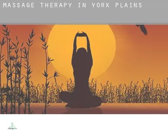 Massage therapy in  York Plains