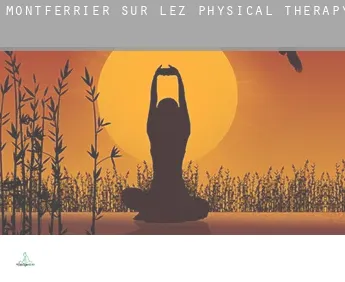 Montferrier-sur-Lez  physical therapy