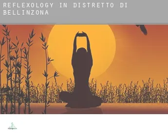 Reflexology in Distretto di Bellinzona